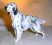 English Setter Ch. 'Maesydd Mustard'