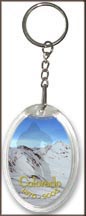 Colorado State Quarter Keychain