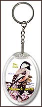 Massachusetts State Quarter Keychain