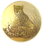 Elisheba collector plate by Douglas Van Howd