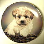 Who, Me? collector plate by Robert Pearcy