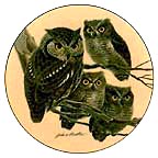 Screech Owls collector plate by John Ruthven