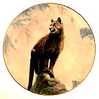 Mountain Lion collector plate by Gregory Perillo