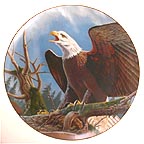 Freedom's Symbol - Bald Eagle collector plate by Larry Toschik