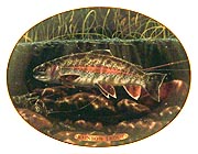 Rainbow Trout collector plate by Edward L. Totten