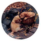 Brotherly Love collector plate by Sharon Eide & Elizabeth Flynn