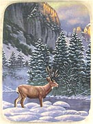 In The Shadow Of El Capitan collector plate by Frank Mittelstadt