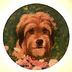 Benji The Movie Star collector plate by Murray Karn