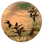 In To Feed collector plate by David Maass