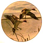 Migrants collector plate by David Maass