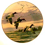 Rippled Landing collector plate by David Maass