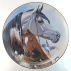 Gift for a Princess collector plate by Derk Hansen