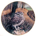 Watchful Eyes - Little Owl collector plate by Trevor Boyer