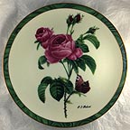 The Perfect Rose collector plate by Pierre Redouté