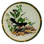 Towhee collector plate by Roger Tory Peterson