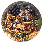 Bobcat Beauties collector plate by Amy Brackenbury