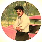 Elvis At The Gates Of Graceland collector plate by Bruce Emmett