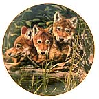 Safety In Numbers collector plate by Audrey Casey