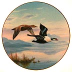 Flying In: King Eider Ducks collector plate by Darrell Bush