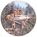 Mother's Watchful Eye - Lynx collector plate by Joan Sharrock