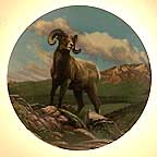 The Bighorn Sheep collector plate by Paul Krapf