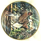 Freedom's Flight collector plate by Ronald Van Ruyckevelt