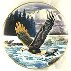 Soaring The Rapids collector plate by Ronald Van Ruyckevelt