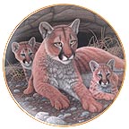 Mountain Lions collector plate by Michael Matherly