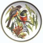 Collared Trogon collector plate by Arthur Singer