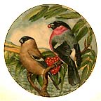 Bullfinch collector plate by G. Marks
