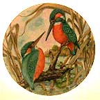 Common Kingfisher collector plate by G. Marks