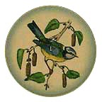 Blue Titmouse collector plate