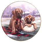 Great Try collector plate by Jim Lamb