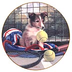Net Play collector plate by Jim Lamb
