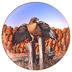  Realm Of The Red-Tail collector plate by Thomas Hirata