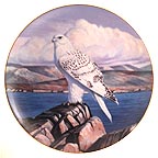 Sentry Of The North collector plate by Thomas Hirata