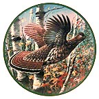 Ruffed Grouse collector plate by Jim Killen