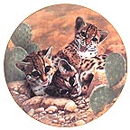Eyes Of Wonder collector plate by Charles Frac&eacute;
