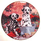 You Missed A Spot collector plate