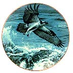 Above The Breakers collector plate by Ron Parker
