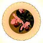 A Legacy Preserved 1981-1983 collector plate