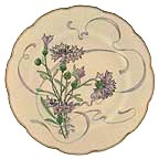 Wild Garlic collector plate by Felix Bracquemond