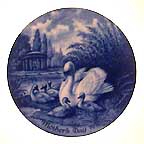 Swan And Cygnets collector plate by Toni Schoener