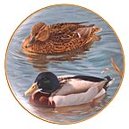 Pair Of Mallards collector plate by Trevor Boyer