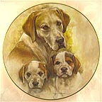 Pointers collector plate by Leo Jansen