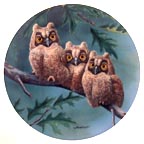 Three's Company: Long-Eared Owls collector plate by Joe Thornbrugh