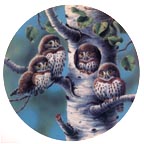 The Tree House: Northern Pygmy Owls collector plate by Joe Thornbrugh