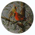 Cardinal collector plate by Kevin Daniel