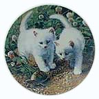 A Chance Meeting: White American Shorthairs collector plate by Amy Brackenbury