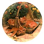 Flower Bed: British Short Hairs collector plate by Amy Brackenbury